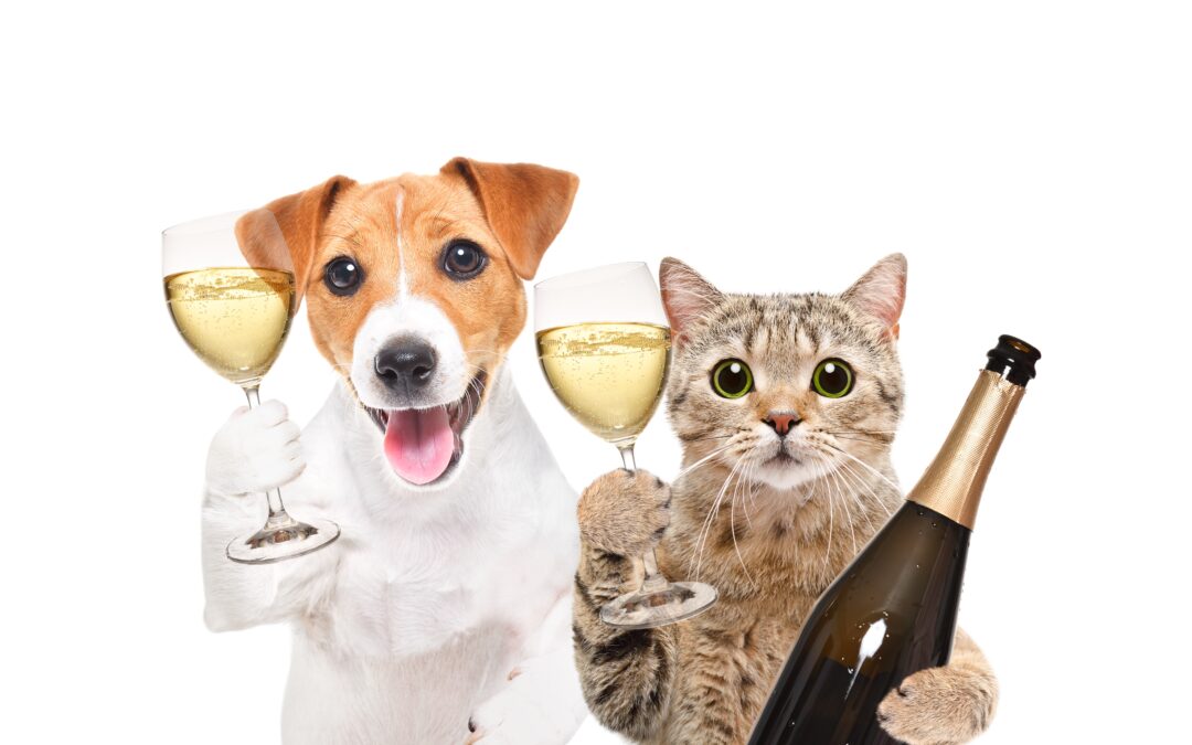 Novozélandská firma vyrábí nealko „víno“ pro mazlíčky 